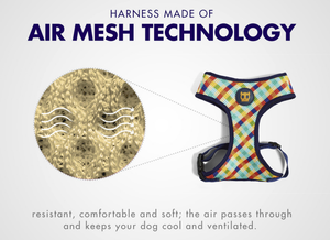 Phantom Air Mesh Plus Harness