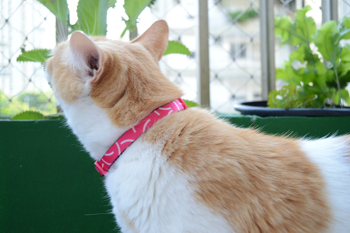 Nara Cat Collar