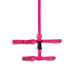 Pink LED Cat Harness + Leash set